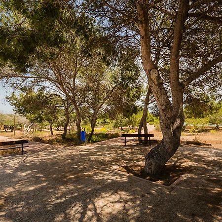 לה מאטה Apartament "Parque Mar" מראה חיצוני תמונה